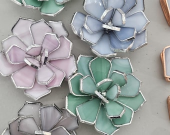 Medium Succulent Stained Glass Pattern