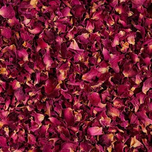 May include: A dense collection of dried rose petals in deep shades of magenta, burgundy, and dark pink. The individual petals are curled, wrinkled, and varied in size, creating a textured surface with occasional hints of golden-yellow edges.