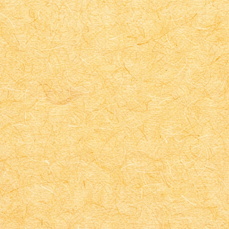 Korean Hanji Digital Paper Pack – 10 Rich Handmade Textures (Digital Download) image 6