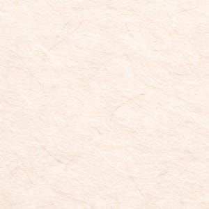 Korean Hanji Digital Paper Pack – 10 Rich Handmade Textures (Digital Download) image 9