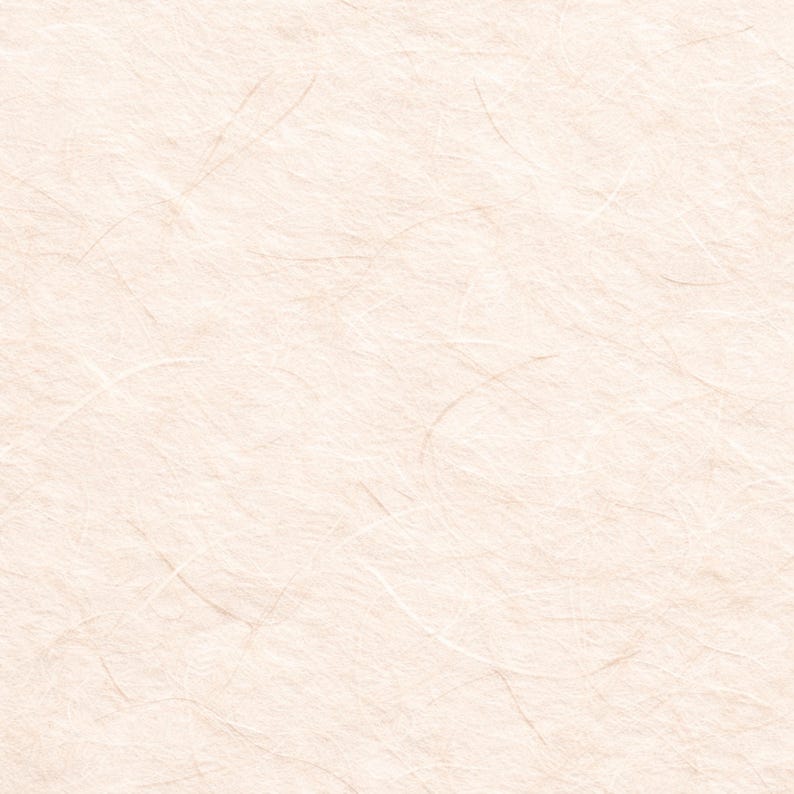 Korean Hanji Digital Paper Pack – 10 Rich Handmade Textures (Digital Download) image 9