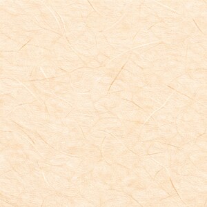 May include: A seamless, textured paper background in a warm, beige hue. Fine, light brown and white fibres are scattered across the surface, creating a subtle, organic pattern. The paper has a slightly rough, tactile appearance.