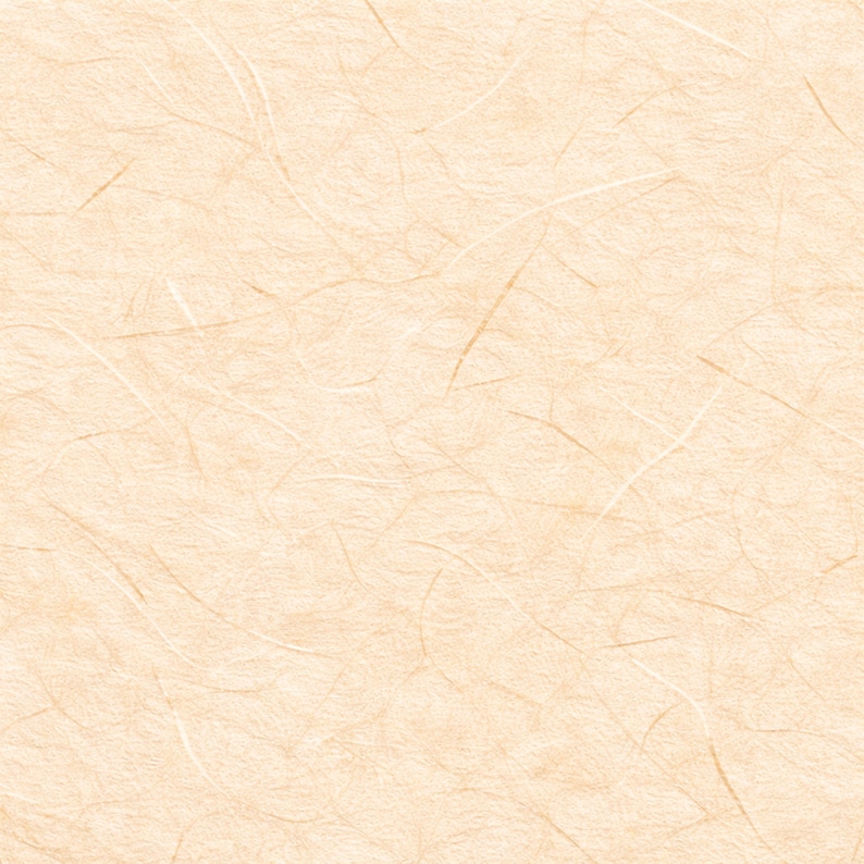 May include: A seamless, textured paper background in a warm, beige hue. Fine, light brown and white fibres are scattered across the surface, creating a subtle, organic pattern. The paper has a slightly rough, tactile appearance.