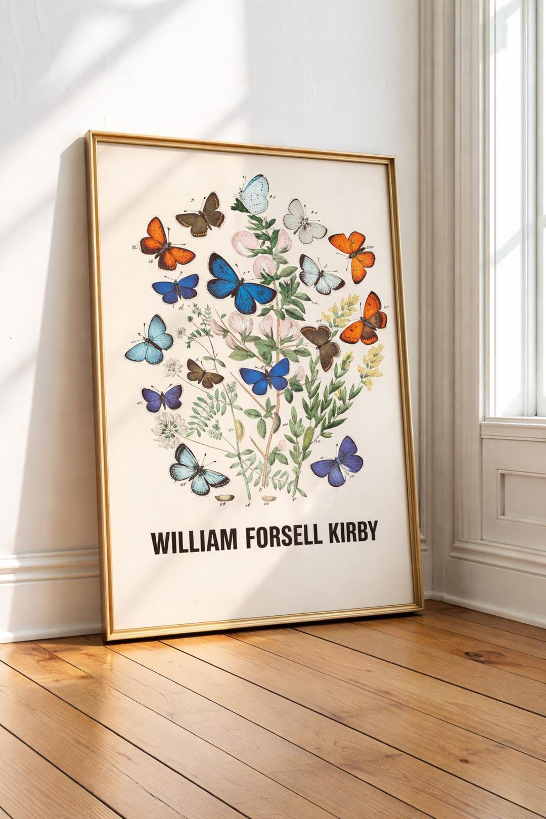 Vintage Butterfly Botanical Print, William Forsell Kirby Illustration ...