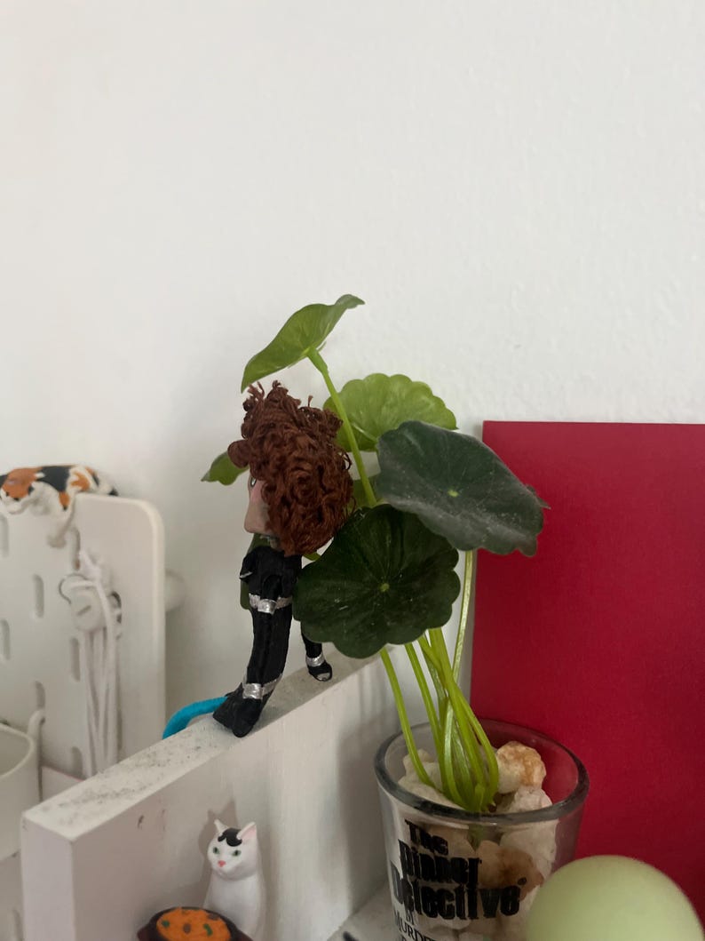 May include: A small, decorative figurine of a person with brown hair and a black outfit, standing on a white shelf. A small potted plant with green leaves is in a glass. The glass has the text "The Planet Detective".