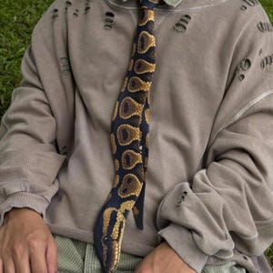 May include: A novelty necktie featuring a detailed snake design. The tie has a dark blue background with brown and tan markings, mimicking the pattern of a snake. The tie is worn over a distressed gray sweatshirt.