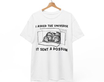 I Asked The Universe It Sent A Possum T-Shirt | Funny Opossum Shirt | Vintage Graphic Tee