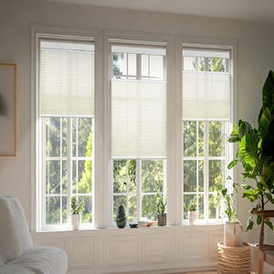 38MM Light Filtering Cellular Shades Top Down Bottom Up Blinds for Bedroom Living Room