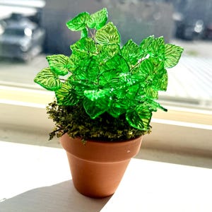 May include: A miniature potted plant featuring translucent, vibrant green glass leaves with visible vein textures, attached to thin wire stems. The plant is set in a small, plain terracotta-colored clay pot filled with dark green moss.