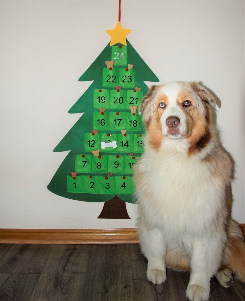 Dog advent calendar Dog Christmas Dog treat calendar XL Etsy