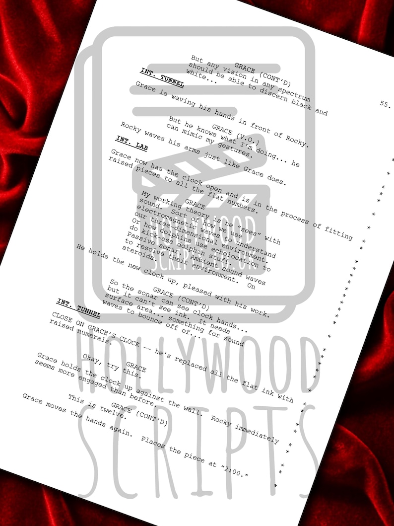 Scripts With Directions Project, Hail Mary Movie Script, Signed, Screenplay, Birthday Gift ...