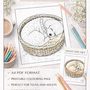 Puede incluir: Una página para colorear de perros imprimible con el texto "Dog Colouring Page" y "Instant Download". La imagen presenta un perro durmiendo en una cesta tejida. Lápices de colores y flores están en el fondo. Incluye una imagen más pequeña del perro en una cesta.