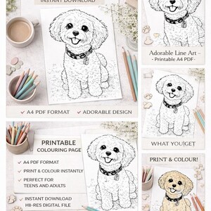 Kleurplaat cavoodle-hond • A4-activiteit voor kinderen en volwassenen (pdf-download)