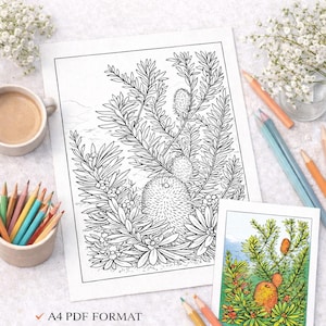 May include: Black and white Banksia Flower coloring page with a detailed botanical illustration. A smaller, colored version of the Banksia flower is also present. Colored pencils and a cup of coffee are on the table. The text on the page says "Banksia Flower".