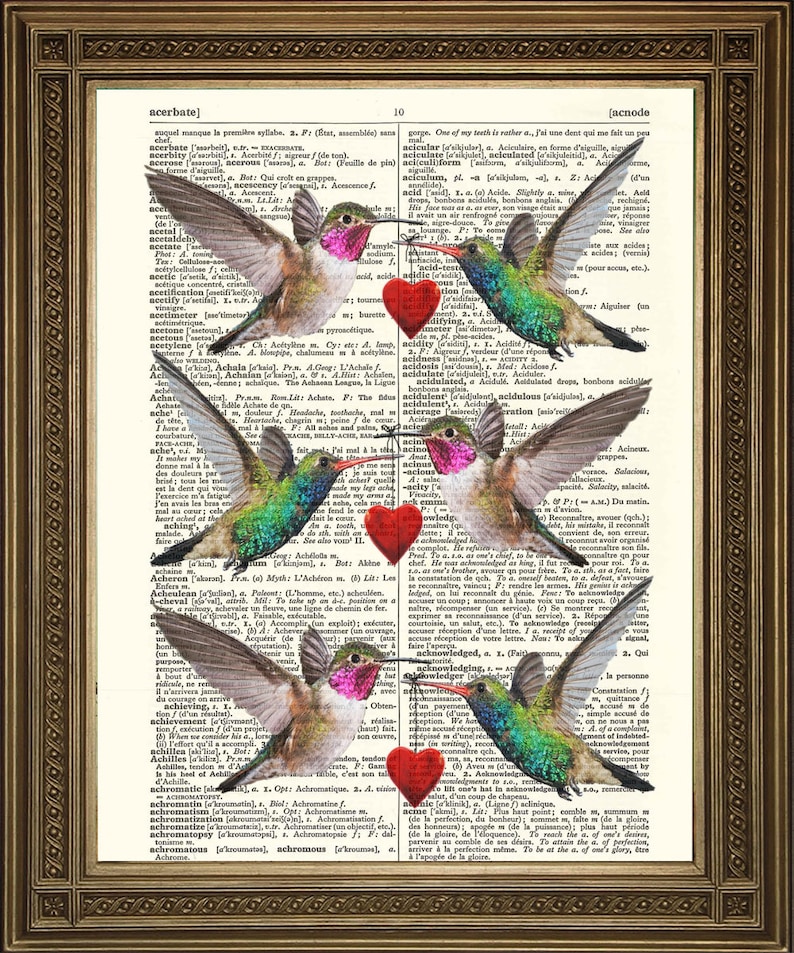 Friends Vintage Page Art RHINO /& BIRDS Dictionary Print FREE Shipping UK