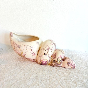 May include: A ceramic seashell-shaped planter in cream with pink and gold accents. The planter has a textured surface and a wide opening for plants or decorative items. The design is reminiscent of a nautilus shell.