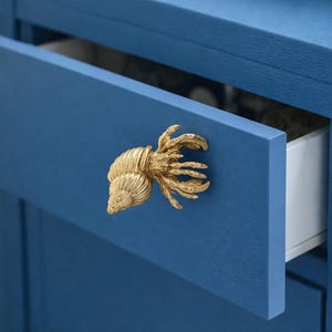 May include: A blue drawer with a gold seashell-shaped handle. The drawer is open, revealing a white interior. The handle is a detailed sculpture of a nautilus shell and coral.