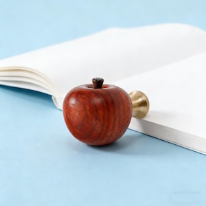 Op de afbeelding: Een houten appelvormige flesstopper met een donkerbruine steel en een messing voet. De stopper staat op een wit boek tegen een lichtblauwe achtergrond. De appel is gemaakt van roodbruin hout.