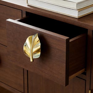May include: A dark brown wooden cabinet with an open drawer. The drawer features a gold-colored leaf-shaped handle. A stack of books rests on top of the cabinet. The cabinet is a piece of furniture.