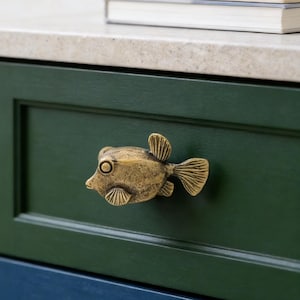 May include: A brass fish-shaped cabinet knob fixed to a dark green cabinet door. The knob has detailed fins and a round eye. The cabinet has a blue base. A book rests on the countertop above the cabinet.