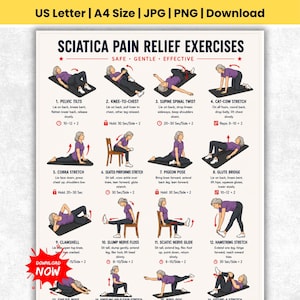 May include: An instructional poster titled Sciatica Pain Relief Exercises featuring twelve numbered illustrations of a person in purple clothing performing various stretches and movements on mats or chairs with text instructions for each exercise.