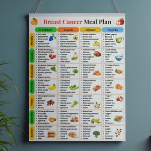 Pu&ograve; includere: Un piano alimentare per pazienti con cancro al seno, con opzioni per colazione, pranzo, cena e spuntini. Il piano include vari alimenti come avena, pollo alla griglia, salmone e frutta fresca, promuovendo una dieta equilibrata.
