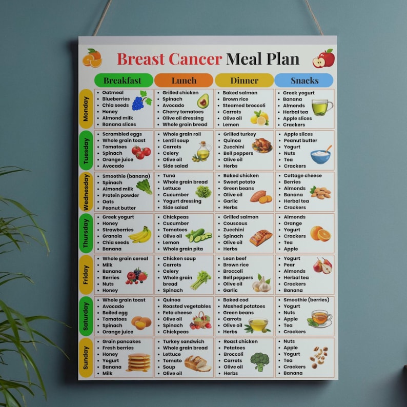 Pu&ograve; includere: Un piano alimentare per pazienti con cancro al seno, con opzioni per colazione, pranzo, cena e spuntini. Il piano include vari alimenti come avena, pollo alla griglia, salmone e frutta fresca, promuovendo una dieta equilibrata.