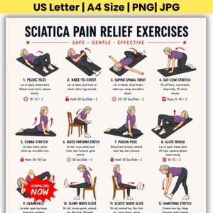 May include: A digital chart titled Sciatica Pain Relief Exercises featuring twelve illustrated steps with figures in purple shirts and black leggings performing stretches on mats or chairs, including text instructions and red icons for timing.