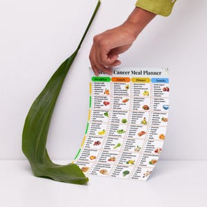 May include: A printed weekly Cancer Meal Planner chart featuring a grid layout with columns for Breakfast, Lunch, Dinner, and Snacks. The document includes text lists of food items paired with small colorful illustrations of various ingredients.