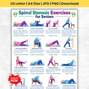 May include: An instructional poster titled Spinal Stenosis Exercises for Seniors featuring twelve illustrated figures performing physical therapy movements with descriptive text, repetition counts, and set instructions for each exercise.
