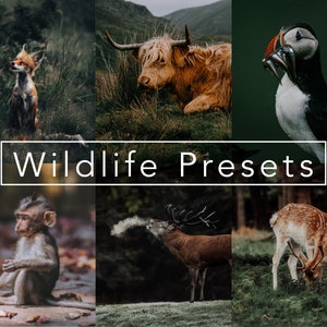 10 Wildlife Lightroom Presets, mobile presets and desktop presets.  Moody presets, safari presets, Lightroom presets  | Instagram Presets