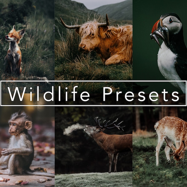 10 Wildlife Lightroom Presets, mobile presets and desktop presets.  Moody presets, safari presets, Lightroom presets  | Instagram Presets