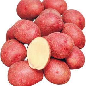 May include: A cluster of red potatoes with smooth, thin skins and rounded shapes. One potato is sliced in half, revealing a pale, creamy-yellow interior flesh. The potatoes are arranged in a dense pile, showcasing their vibrant red exterior color.