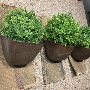 Wall Pocket Planter Rustic