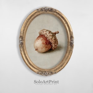 May include: An oval-shaped, ornate gold frame containing a print of a single brown acorn with a textured cap. The acorn is centered against a neutral, off-white canvas background. The frame features intricate, embossed floral detailing.