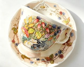 Vintage Royal Doulton Brambly Hedge Four Seasons Autumn Bone China Teacup and Saucer 1983