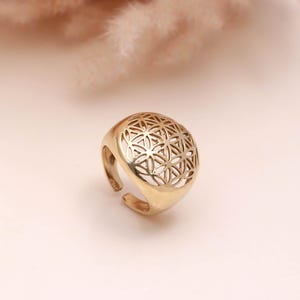 May include: A gold-colored ring with an openwork design featuring a geometric pattern. The ring has a rounded top and an adjustable band. The background is a soft, neutral color.
