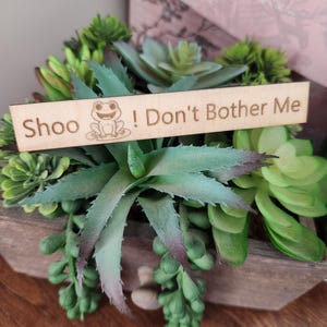 May include: A wooden planter box filled with artificial succulents in various shades of green. A wooden sign with the words "Shoo! Don't Bother Me" and a frog illustration is placed in the center of the arrangement.
