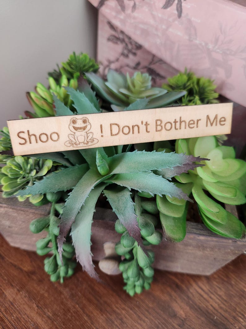 May include: A wooden planter box filled with artificial succulents in various shades of green. A wooden sign with the words "Shoo! Don't Bother Me" and a frog illustration is placed in the center of the arrangement.