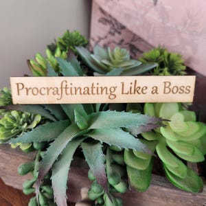 May include: A wooden sign reading "Procraftinating Like a Boss" is placed amongst green and grey succulents. The succulents are in a wooden planter, with a pink box visible in the background.
