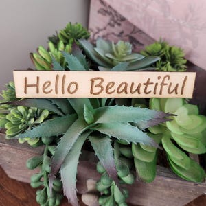 May include: A wooden planter box filled with various green succulents. A wooden sign with the words "Hello Beautiful" is placed in front of the plants. The background includes a pink box with floral designs.