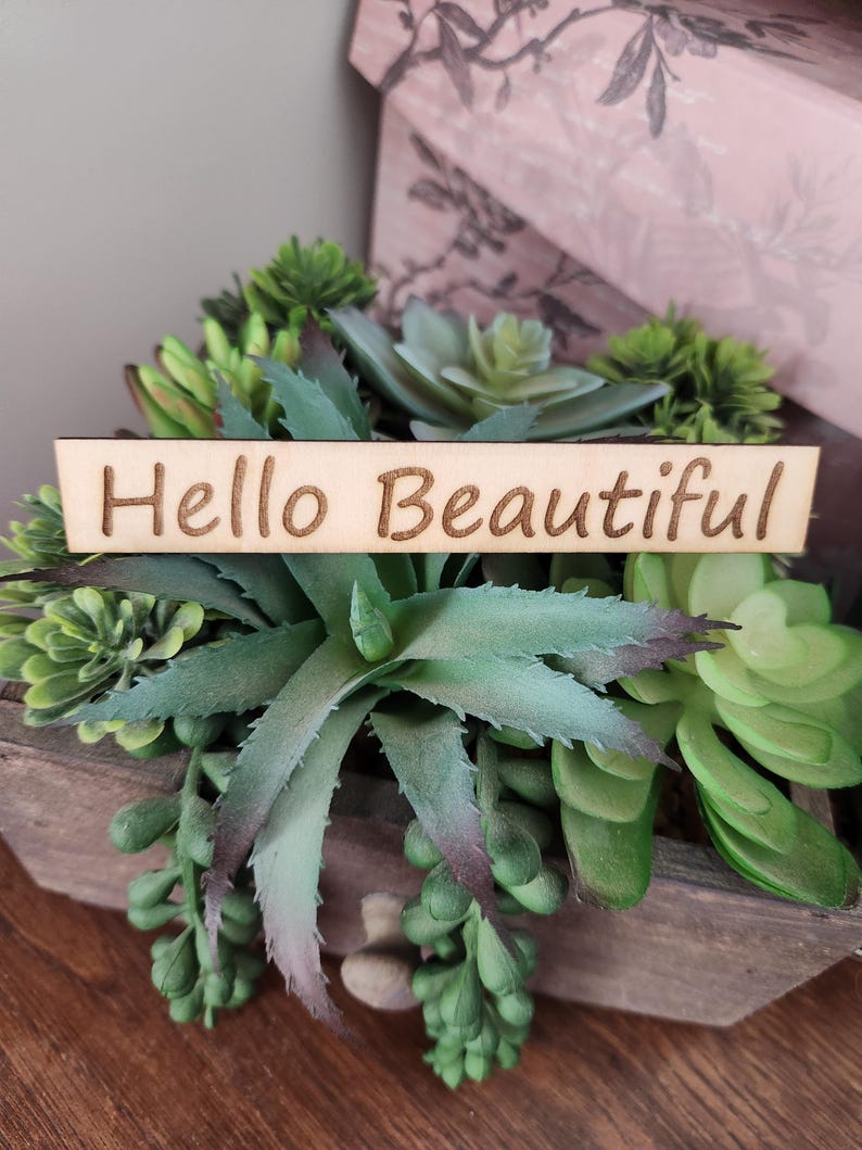 May include: A wooden planter box filled with various green succulents. A wooden sign with the words "Hello Beautiful" is placed in front of the plants. The background includes a pink box with floral designs.