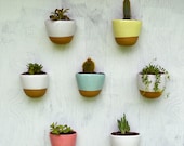 4 Stoneware Wall Planters SAVE 15%
