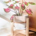 see more listings in the Planters section