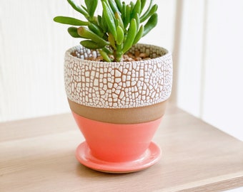 Desk Planter