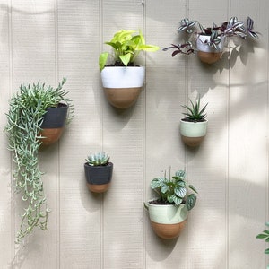 Stoneware Wall Planter image 3