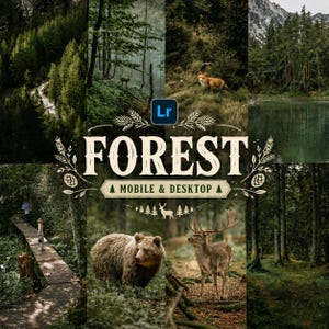 Könnte beinhalten: Eine Collage von Waldszenen mit verschiedenen Wildtieren, darunter Hirsche, ein Fuchs und ein Bär. Das Wort "FOREST" wird groß angezeigt, darunter "MOBILE & DESKTOP". Das Bild ist eine Sammlung von Naturfotos.