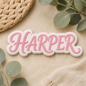 Script Name PVC Patch, Personalized Cursive Name Patch, Pink Custom Name Patch, Cute 2D PVC Patch Gift