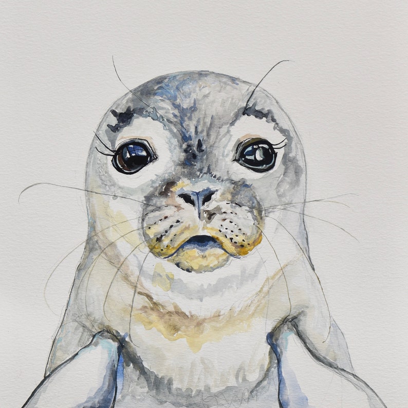 May include: A watercolor painting of a seal pup with big, dark eyes and a light gray fur coat. The pup is looking directly at the viewer with a curious expression.