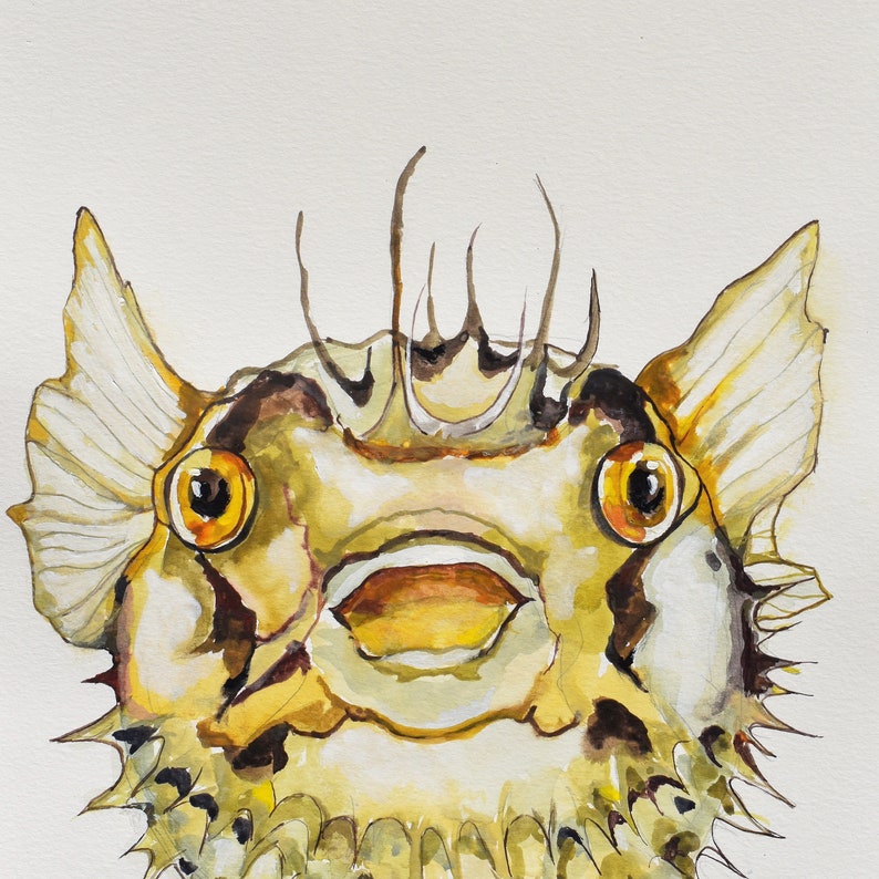 May include: Watercolor painting of a yellow and brown pufferfish with a wide open mouth. The fish has a spiky texture and a crown of spines on its head.